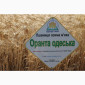 Насіння озимої пшениці Оранта Одеська (еліта) в Днепре - фото № 1