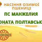 Продаж насіння озимої пшениці - фото № 1