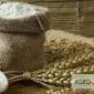 Пшеница канадская сорт Тесла - продажа оптом - фото № 1