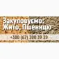 Купуємо пшеницю на постійній основі - фото № 1