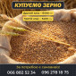 Куплю зерно другий, третій клас - фото № 1