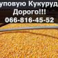 Закупка кукурузы в большом объеме - фото № 1