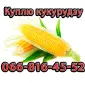 Куплю кукурузу урожай 2024 на постоянной основе - фото № 1