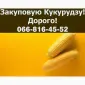 Покупаем кукурузу на выгодных условиях - фото № 1