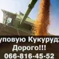 Купуємо кукурудзу великим оптом, оплата на вагах - фото № 1