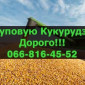 Постоянная покупка Кукурузы с быстрой оплатой - фото № 1