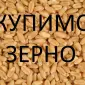 Компания на постоянной основе проводит закупку зерновых культур и другие - фото № 1
