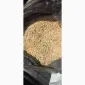 Підприємство купує побічний продукт обо зерновідходи кукурудзи - фото № 1