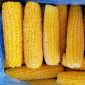 Кукурудза заморожена бланшована - фото № 1