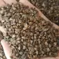 Семена гречихи PENNY (элит) - канадский ярый трансгенный продовольственный сорт - фото № 1