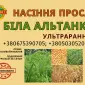 Насіння просо - фото № 1