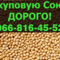 Предприятие переработчик закупает сою 2024 года - фото № 1