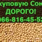 Предприятие переработчик закупает СОЮ 2024го года - фото № 1