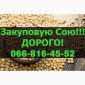Закупаем сою оптом - фото № 1