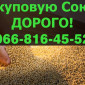 Куплю сою на постоянной основе по контракту - фото № 1