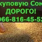 Куплю на постійній основі СОЮ!Під контракт - фото № 1