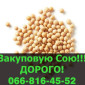 Куплю соевое зерно в любых объемах - фото № 1