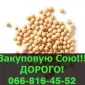 Куплю СОЮ в любом количестве - фото № 1