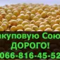 Предприятие покупает СОЮ!Заключены большие контракты - фото № 1