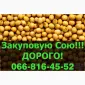 Закупаем СОЮ по высоким ценам!Максимальные цены - фото № 1