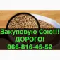 Куплю СОЮ по высокой цене!Самые высокие цены в Украине - фото № 1