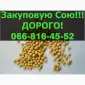 На постоянной основе закупаю СОЮ в любом количестве - фото № 1