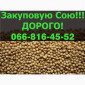 Запрошуємо до співпраці виробників СОЇ! Куплю сою дорого! - фото № 1