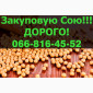 Купуємо сою на вигідних умовах - фото № 1