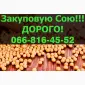 Покупаем СОЮ на конкурентных условиях - фото № 1