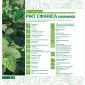 Пропонуємо насіння сої РЖТ Сфінкса (СН-1) Без ГМО - фото № 2