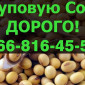 Закупівля сої від виробника в Полтаві - фото № 1