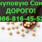 Куплю на постійній основі СОЮ!Максимальні ціни - фото № 1