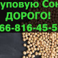 Купую СОЮ урожаю 2024 року за вигідною ціною - фото № 1