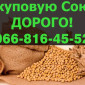 Покупаем СОЮ оптом - фото № 1