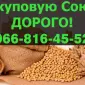 Покупаю СОЮ в больших объемах - фото № 1