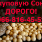 Покупка сои на постоянной основе - фото № 1