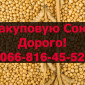 Закупка сои в любом объёме на постоянной основе - фото № 1