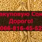 На постоянной основе закупаю Сою в любом объеме - фото № 1