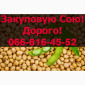 Постійна закупівля сої - фото № 1