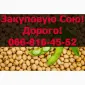 На постійній основі закуповуємо СОЮ - фото № 1