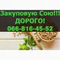 Заготовка СОИ урожай 2024года!Контракт!расчет на весах - фото № 1