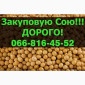 Купуємо сою! Висока ціна! Запрошуємо виробників до співпраці - фото № 1