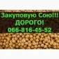 Покупаем СОЮ!Дорого!Приглашаем производителя к сотрудничеству - фото № 1