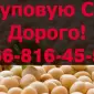 Предприятие Закупает Соя!Контракт!Дорого!Оплата на Весах - фото № 1