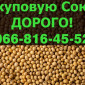 Постоянно покупаем сою! Большие контракты - фото № 1