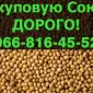 На постоянной основе покупаем СОЮ!Большие контракты - фото № 1