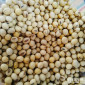 Закупаем сою (ГМО и не ГМО) в Черновицкой области - фото № 1