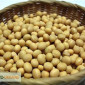 Закупаем сою с протеином от 36% - фото № 1