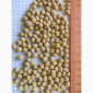 Продаж насіння сої сорту P03T68R2 - фото № 1