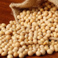 Куплю сою - фото № 4